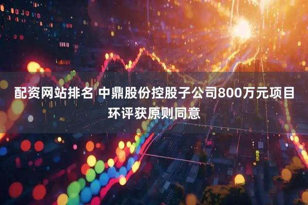 配资网站排名 中鼎股份控股子公司800万元项目环评获原则同意
